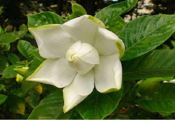 心理观察家■舍，可以养福；静，可以修心