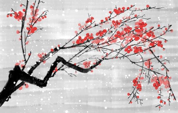 「励志司机贺贺」做人不硬气，必被人欺负