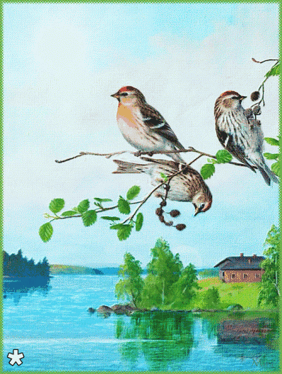 励志焦点@想开难，看开难！放过自己吧！一半糊涂一半清醒，也许就是人生