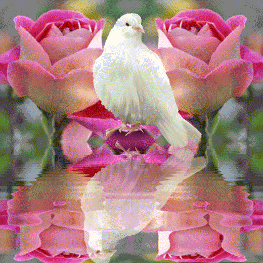 励志焦点@想开难，看开难！放过自己吧！一半糊涂一半清醒，也许就是人生