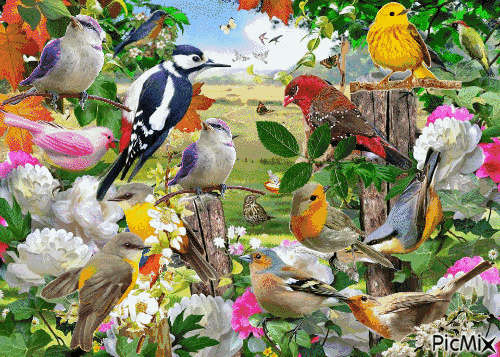 励志焦点@想开难，看开难！放过自己吧！一半糊涂一半清醒，也许就是人生