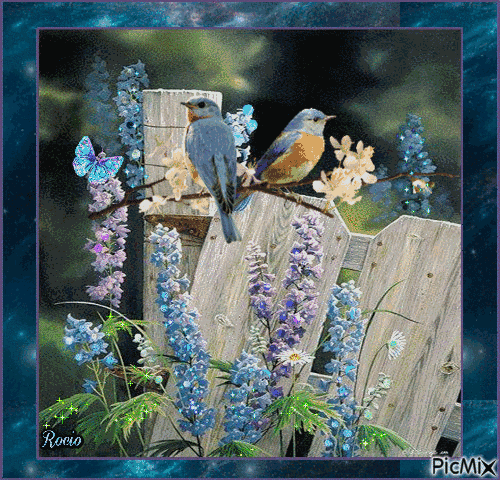 励志焦点@想开难，看开难！放过自己吧！一半糊涂一半清醒，也许就是人生