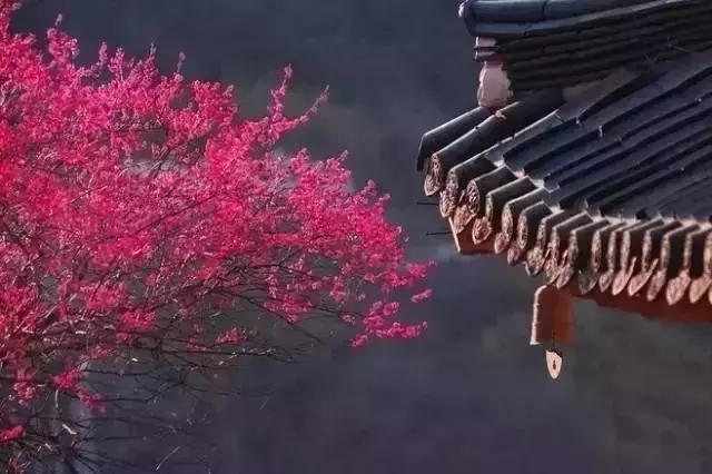 纵一苇之所如■记住别人的好，珍惜自己的福