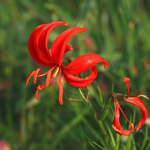 纵一苇之所如■记住别人的好，珍惜自己的福