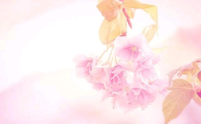 纵一苇之所如■记住别人的好，珍惜自己的福