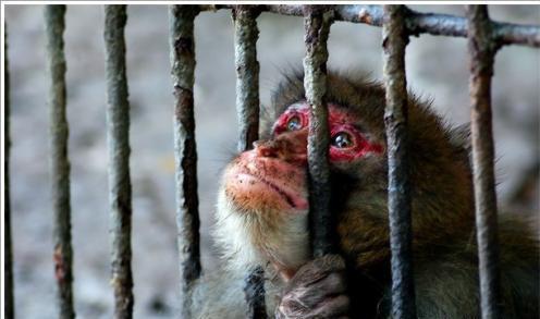 大视野：男人必须有一份自己的事业！废掉一个人：让他闲着、闲着、闲着