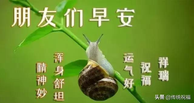 浅浅情感说@生活不简单，尽量简单过，人生不完美，尽量开心活