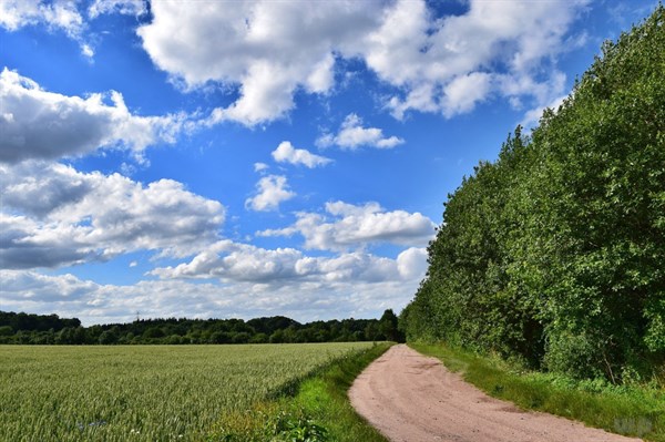 「光明网」生活苦不苦，大家都清楚，活着难不难，神仙都说难