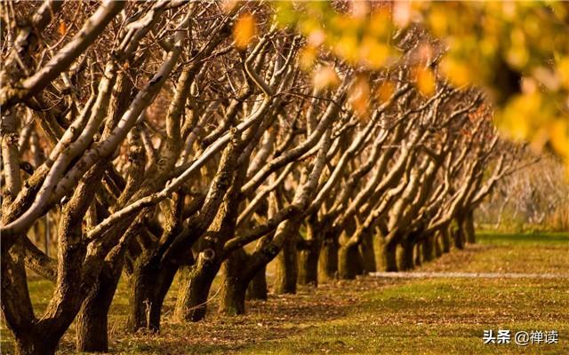 励志图文影视：体验了失去，才会更好的珍惜
