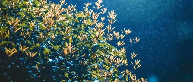 儒家国学文化■做人的十大境界、十大原则、十大醒悟、十大心机、十大智慧