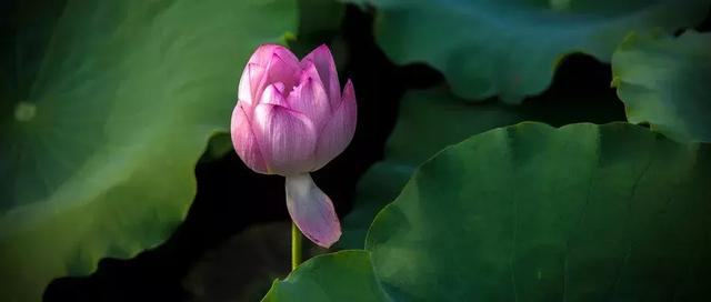 儒家国学文化■做人的十大境界、十大原则、十大醒悟、十大心机、十大智慧