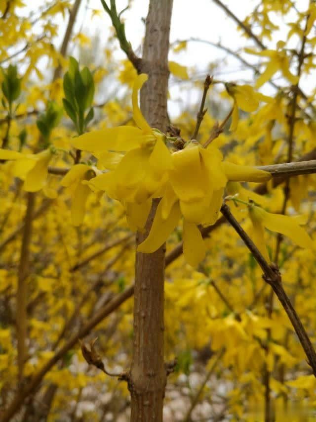 【飞猪美文】人生没高度？是你选错了大哥，跟错了人