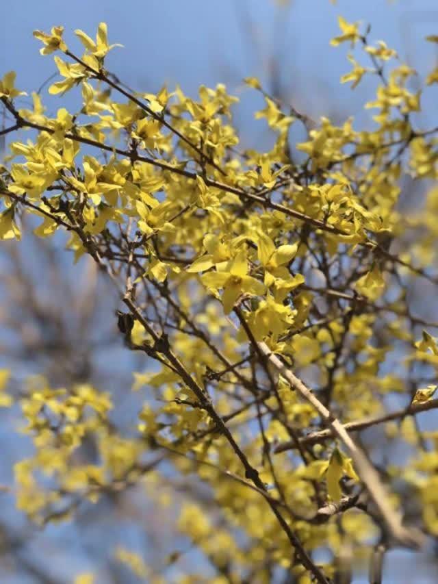 【飞猪美文】人生没高度？是你选错了大哥，跟错了人