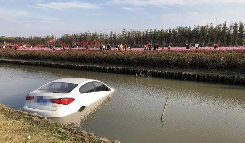 汽车爱好者@汽车不小心掉入水中,应该如何逃生？老司机告诉你！