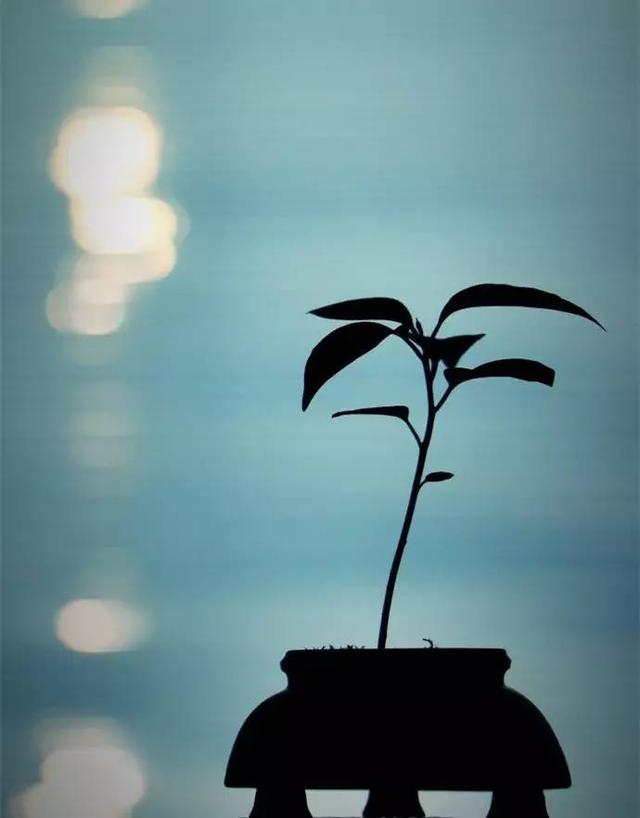 「默宅大叔」了悟生活，便是于心间寻求简单，获得快乐！