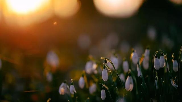 「默宅大叔」了悟生活，便是于心间寻求简单，获得快乐！