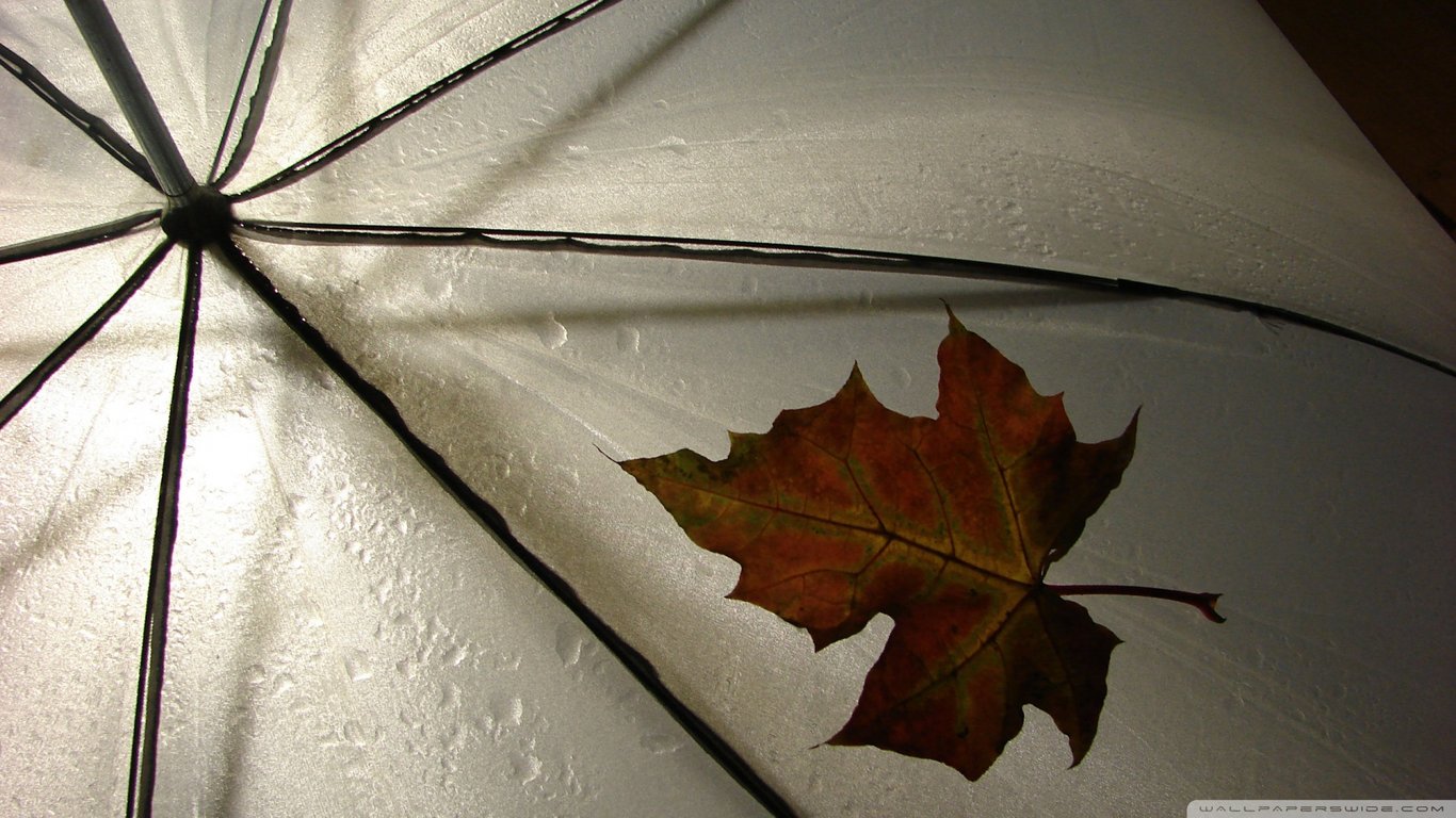 [涛哥正能量]认真生活，你将被温柔以待