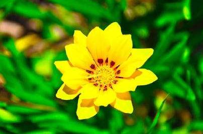 「美文鉴赏」心若相知相伴，何惧万水千山