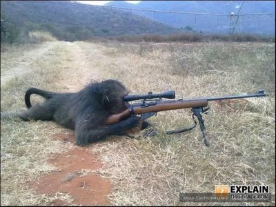 刘能是我@丐帮招聘信息新鲜出炉，收入高门槛低，看的心理直痒痒