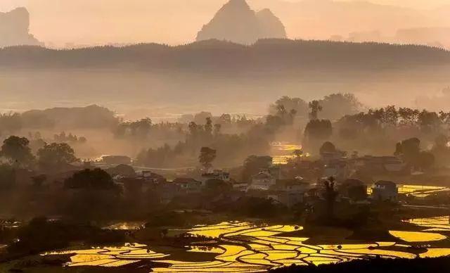 小碗菜■你的选择，决定你的人生