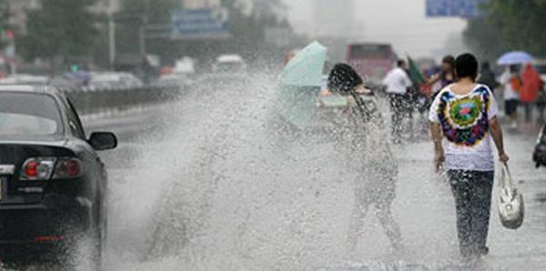 济南顺子■开车过程中遇到的9大奇葩事，哪一个让你最不能忍？