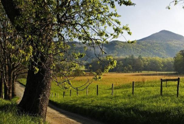 「小冉姐姐的夏天」原则性较强的四个生肖，不会轻易妥协任何事，你是这样的人吗？