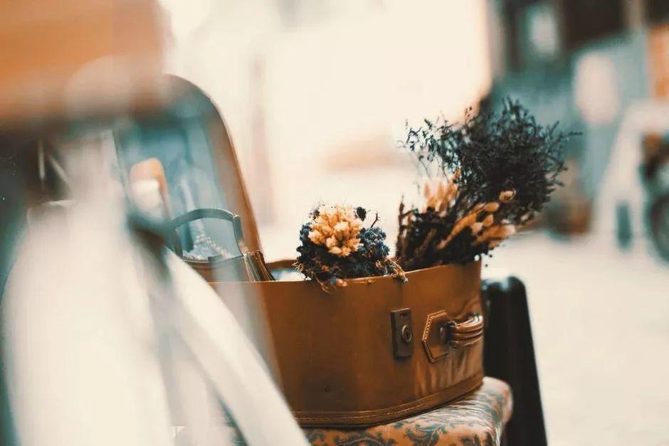 SEDATE微生活：往后余生，愿你从容轻松