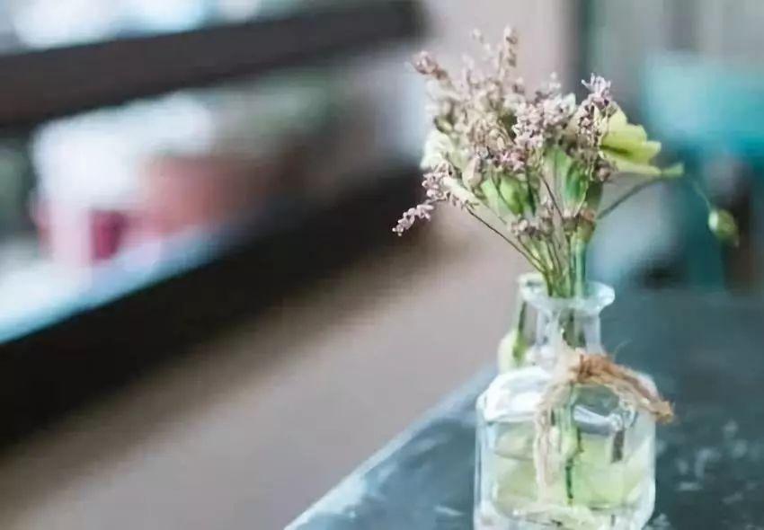 SEDATE微生活：往后余生，愿你从容轻松