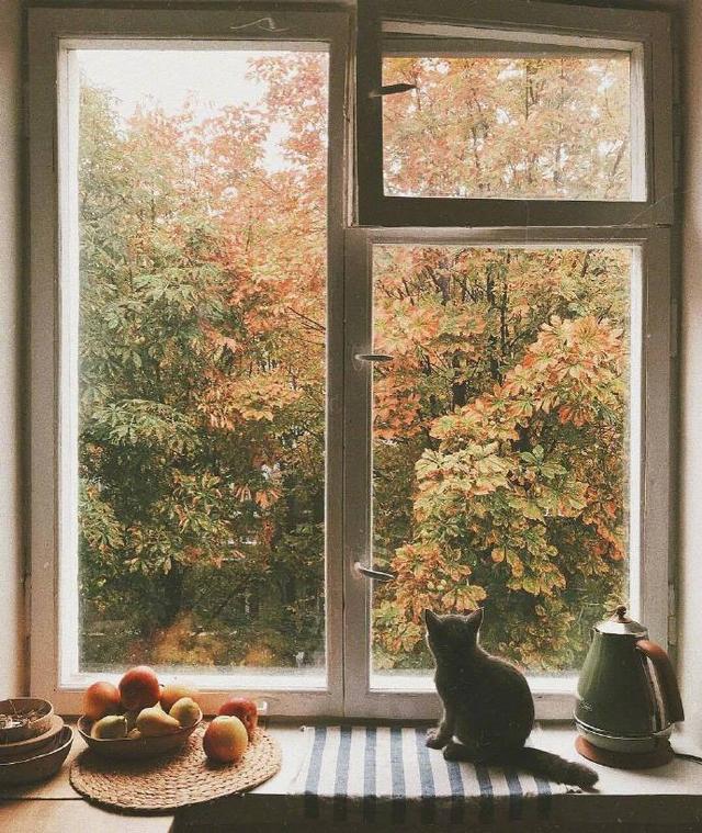 雨墨轩霏：愿你我的余生里，都是欢笑