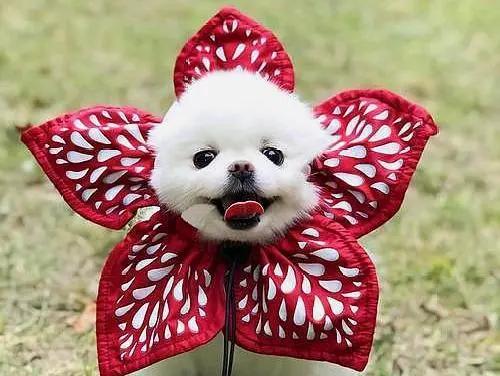 「情感乐书」人啊，越懒惰越没出息