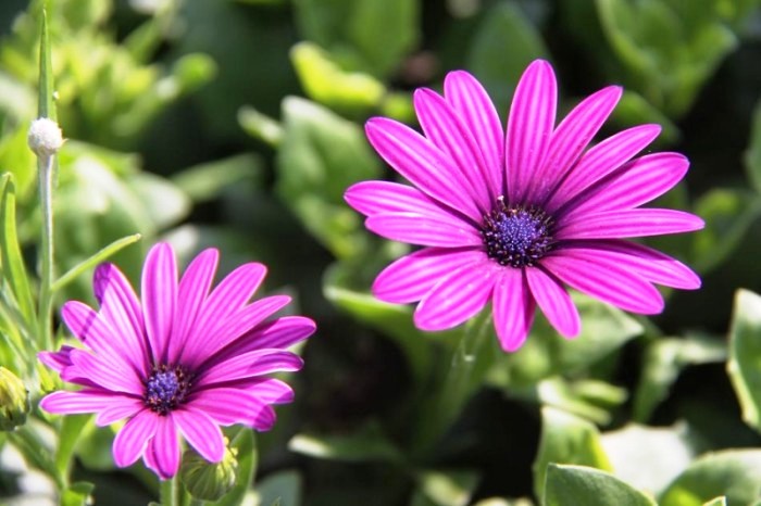 生活万万千@这话说得走心，付出不一定有收获，可收获却一定要付出