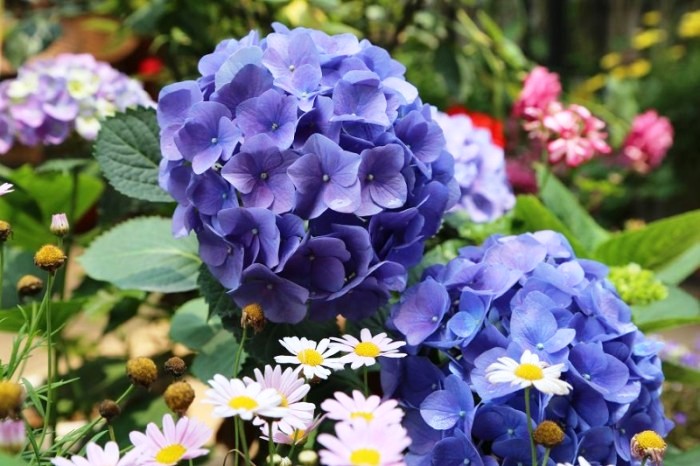 生活万万千@这话说得走心，付出不一定有收获，可收获却一定要付出