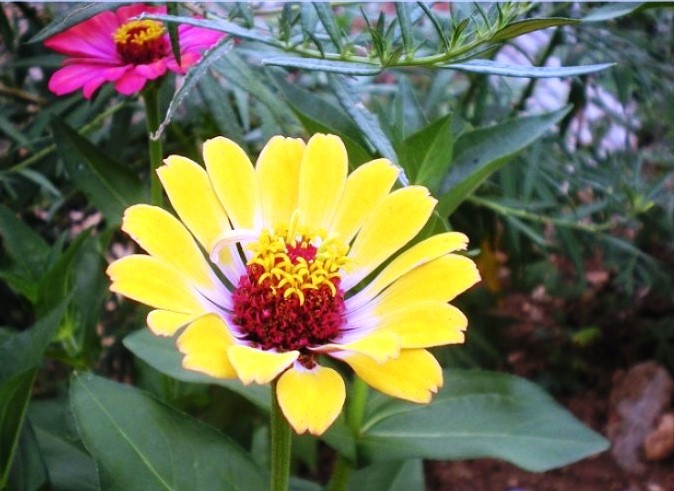 生活万万千@这话说得走心，付出不一定有收获，可收获却一定要付出