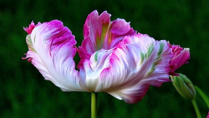 生活万万千@这话说得走心，付出不一定有收获，可收获却一定要付出