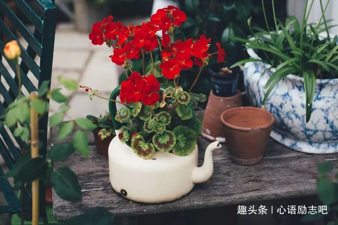 「心语励志吧」佛说:‘’属于你的，永远都在‘’！