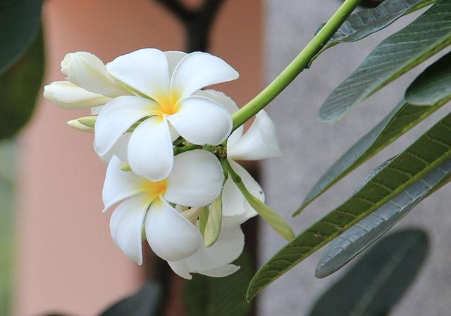 [励志风雨人生]谁，陪你走在秋天的路上