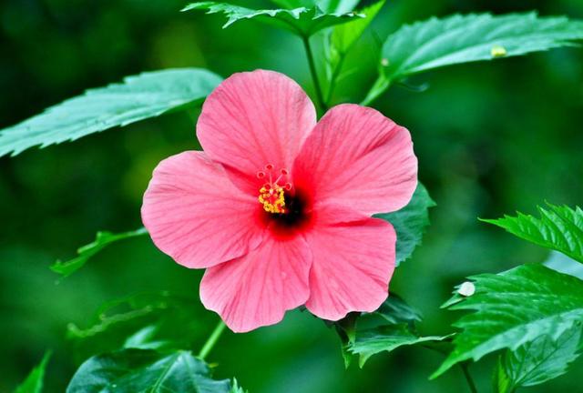 [励志风雨人生]谁，陪你走在秋天的路上