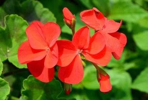 [励志风雨人生]谁，陪你走在秋天的路上