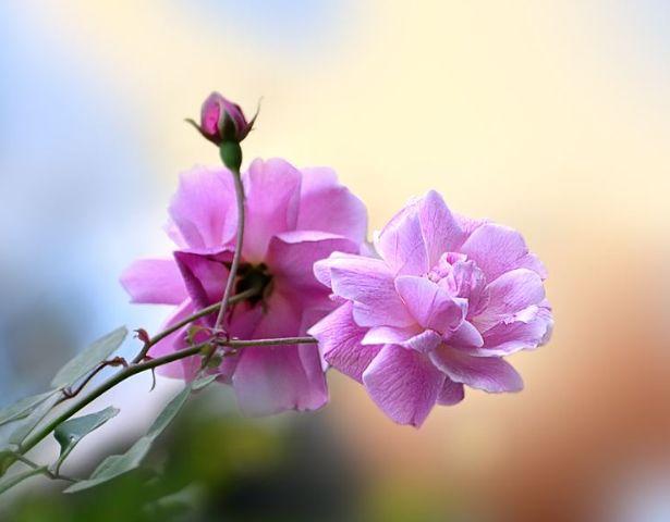 #格式化孤单#别等老了，才明白