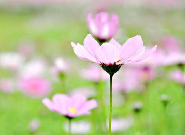 #格式化孤单#别等老了，才明白