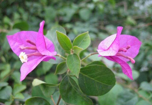 #格式化孤单#别等老了，才明白