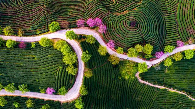 鬼谷子权谋智慧@酒桌上，有这二个表现的人，往往很有本事，不要小瞧了