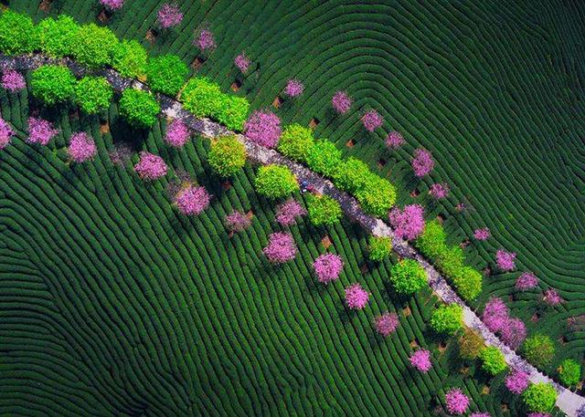 鬼谷子权谋智慧@酒桌上，有这二个表现的人，往往很有本事，不要小瞧了