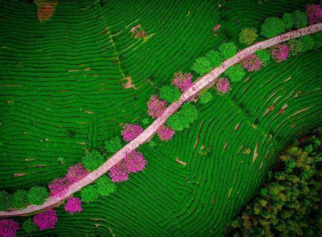 鬼谷子权谋智慧@酒桌上，有这二个表现的人，往往很有本事，不要小瞧了