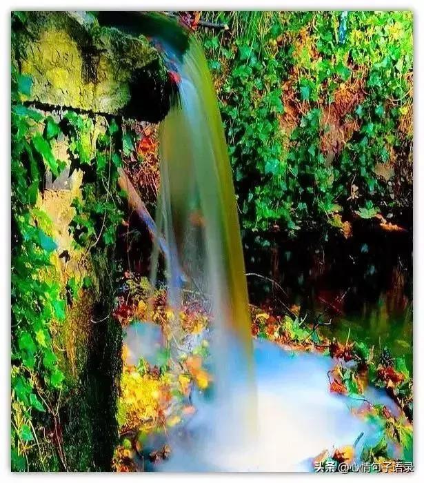 「钟楼孙的钟楼」做人莫算计，将心比心，赢在人品