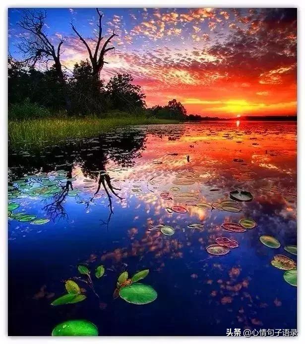 「钟楼孙的钟楼」做人莫算计，将心比心，赢在人品