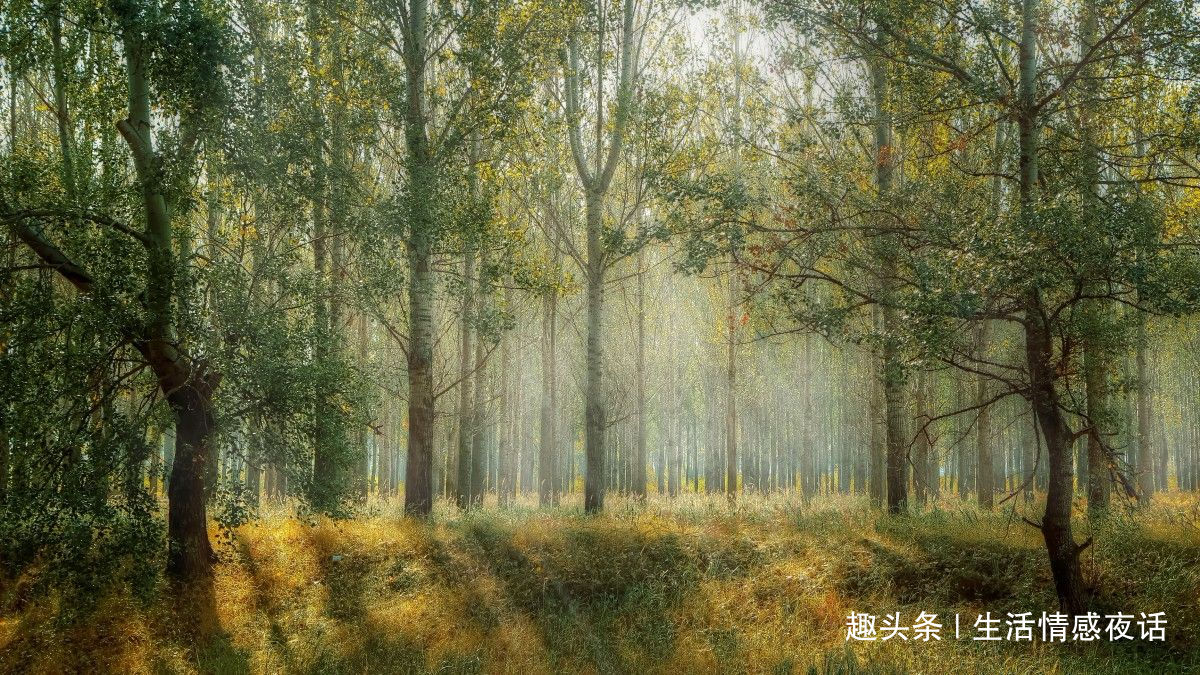 「生活情感夜话」人真的分三六九等，起决定性作用的不是出身，人生就要靠打拼