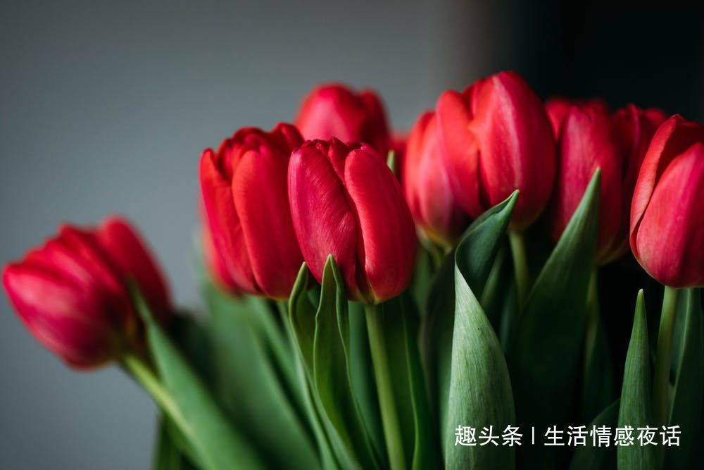 「生活情感夜话」人真的分三六九等，起决定性作用的不是出身，人生就要靠打拼