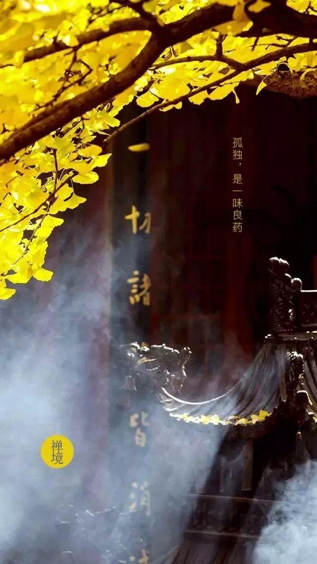 「佛学文化禅院TB」孤独，是一味良药