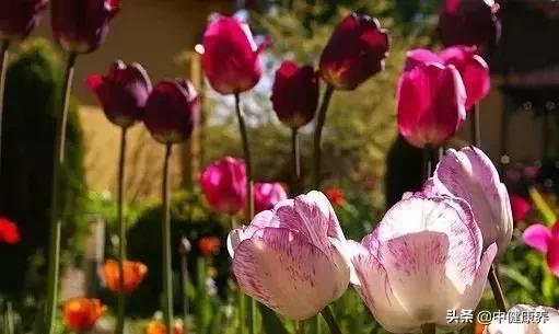 心理观察家：退休的朋友注意啦，这是很棒的一段话，一定要发